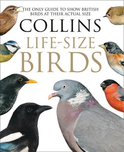 Collins Life-Size Birds: The Only Guide to Show British Birds at Their Actual Size