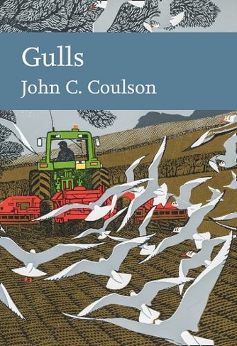 Gulls: (Collins New Naturalist Library Book 139)