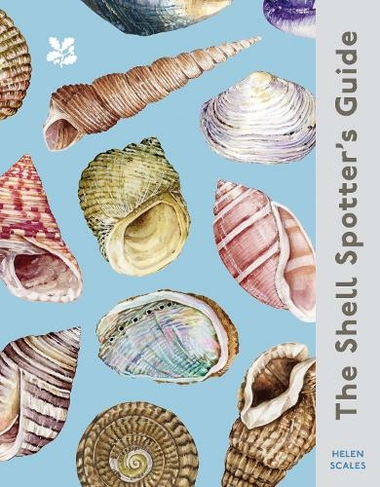 The Shell Spotter's Guide: (National Trust)