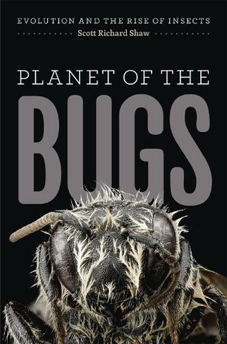 Planet of the Bugs: Evolution and the Rise of Insects