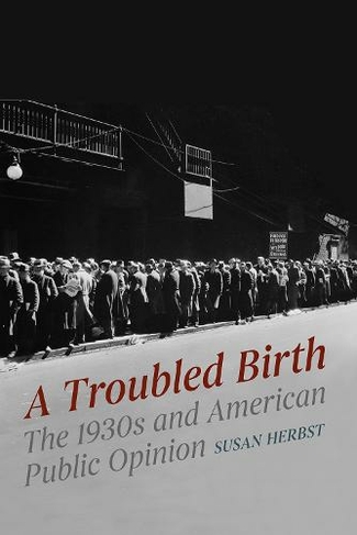 A Troubled Birth: The 1930s and American Public Opinion (Chicago Studies in American Politics)