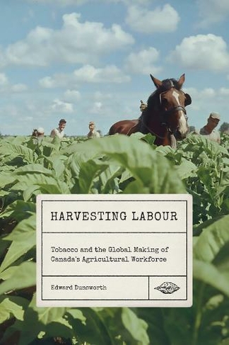 Harvesting Labour: Tobacco and the Global Making of Canada's Agricultural Workforce (Rethinking Canada in the World)