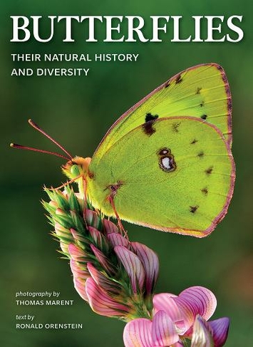 Butterflies: Their Natural History and Diversity: (2nd edition)