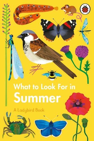 What to Look For in Summer: (A Ladybird Book)