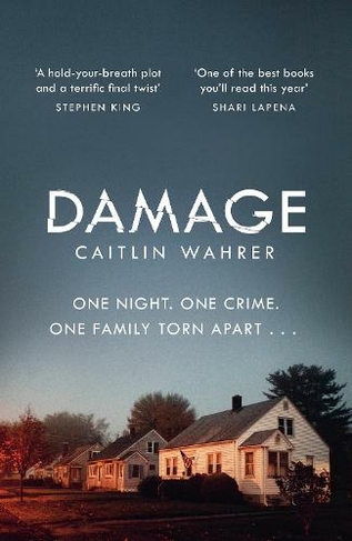 Damage: An unputdownable and emotionally gripping debut with a twist you won't see coming