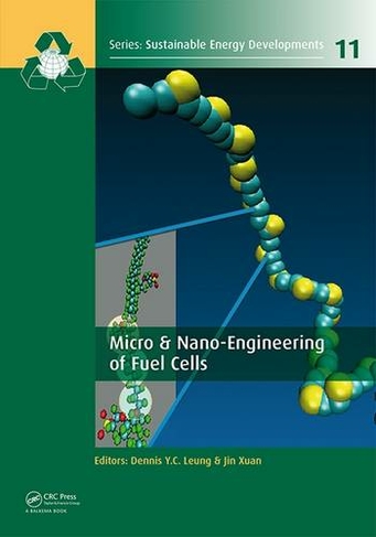 Micro & Nano-Engineering of Fuel Cells: (Sustainable Energy Developments)