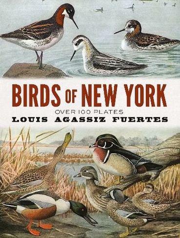 Birds of New York: Over 100 Plates