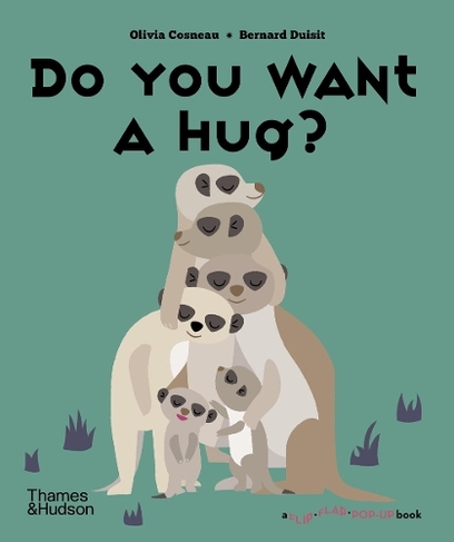 Do You Want a Hug?: (A Flip Flap Pop Up Book)