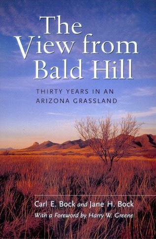 The View from Bald Hill: Thirty Years in an Arizona Grassland (Organisms and Environments 1)