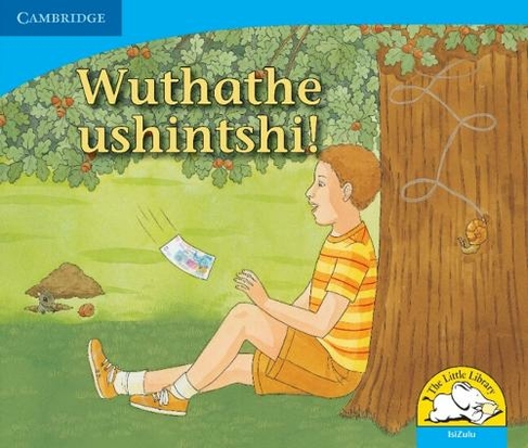 Wuthathe ushintshi! (IsiZulu): (Little Library Numeracy New edition)