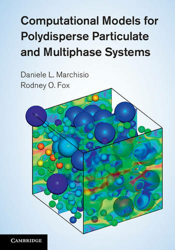 Computational Models for Polydisperse Particulate and Multiphase Systems: (Cambridge Series in Chemical Engineering)