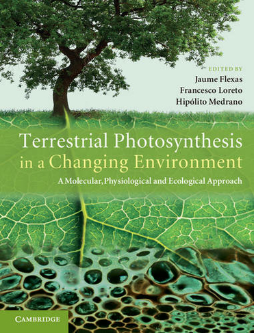 Terrestrial Photosynthesis in a Changing Environment: A Molecular, Physiological, and Ecological Approach