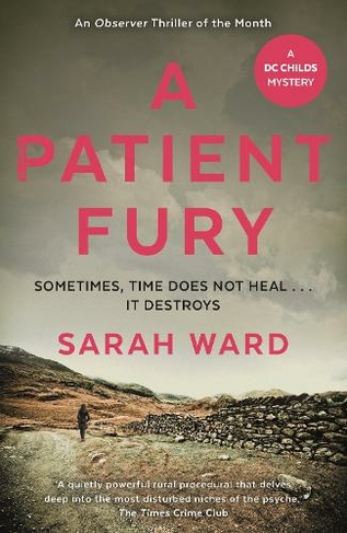 A Patient Fury: (DC Childs mystery Main)