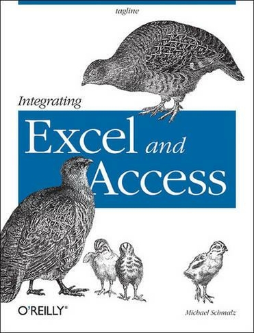 Integrating Excel and Access