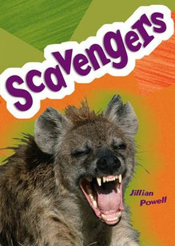 Pocket Facts Year 5: Scavengers: (POCKET READERS NONFICTION)