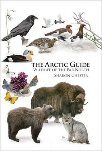 The Arctic Guide: Wildlife of the Far North (Princeton Field Guides)