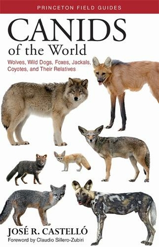 Canids of the World: Wolves, Wild Dogs, Foxes, Jackals, Coyotes, and Their Relatives (Princeton Field Guides)