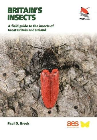 Britain's Insects: A Field Guide to the Insects of Great Britain and Ireland (WILDGuides of Britain & Europe)