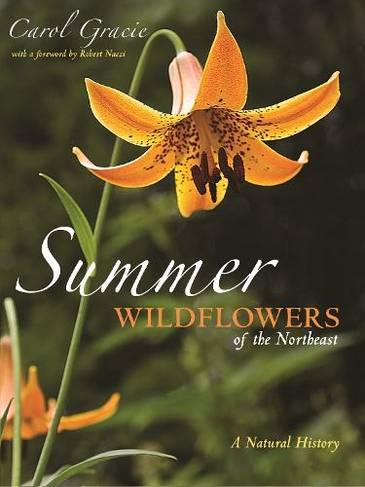 Summer Wildflowers of the Northeast: A Natural History