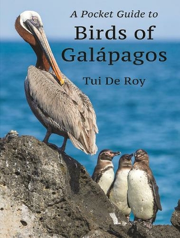 A Pocket Guide to Birds of Galapagos