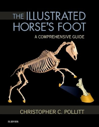 The Illustrated Horse's Foot: A comprehensive guide