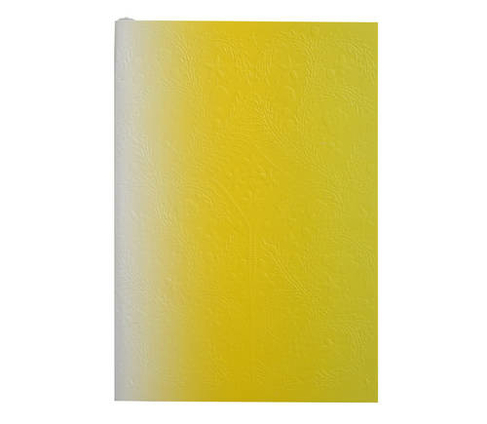 Christian Lacroix Neon Yellow A6 4.25" x 6" Ombre Paseo Notebook