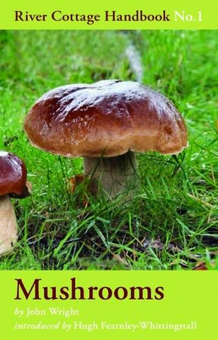 Mushrooms: (River Cottage Handbook No. 1)