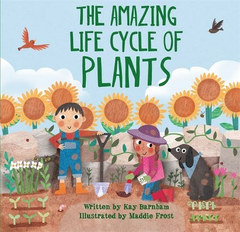 Look and Wonder: The Amazing Plant Life Cycle Story: (Look and Wonder)