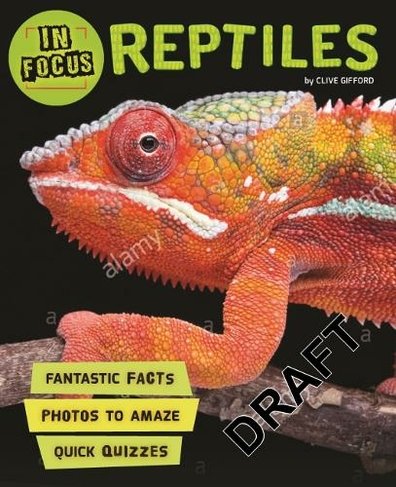 In Focus: Reptiles: (In Focus)