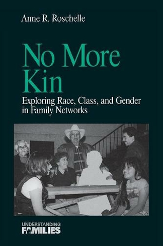 No More Kin: Exploring Race, Class, and Gender in Family Networks (Understanding Families series)