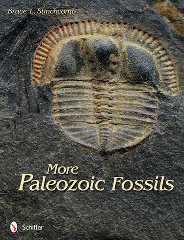 More Paleozoic Fsils