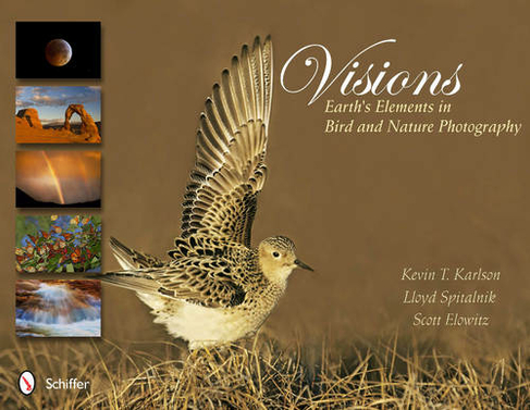 Visions: Earth's Elements in Bird and Nature Photography: Earth's Elements in Bird and Nature Photography