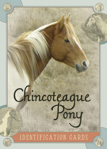 Chincoteague Pony Identification Cards