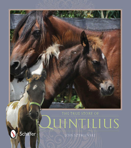 True Story of Quintilius