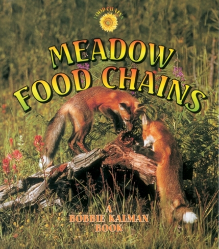 Meadow Food Chains: (Food Chains)