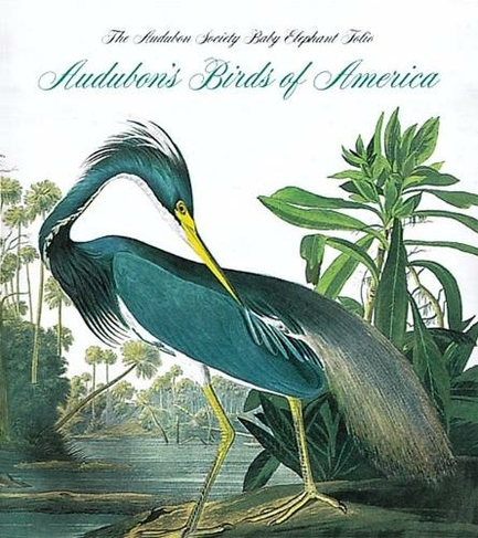 Audubon's Birds of America: The National Audubon Society Baby Elephant Folio (Tiny Folio)