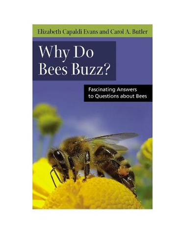 Why Do Bees Buzz?: Fascinating Answers to Questions about Bees (Animals Q & A)