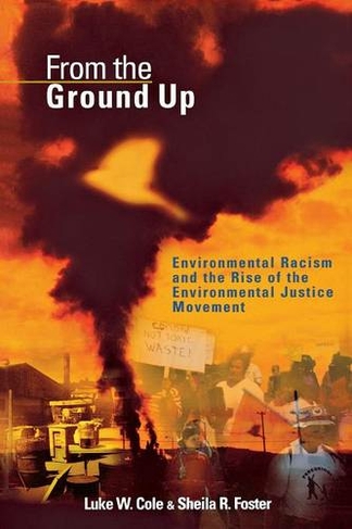 From the Ground Up: Environmental Racism and the Rise of the Environmental Justice Movement (Critical America)