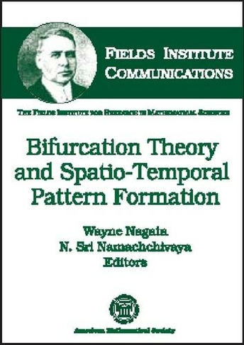 Bifurcation Theory and Spatio-temporal Pattern Formation: (Fields Institute Communications illustrated Edition)