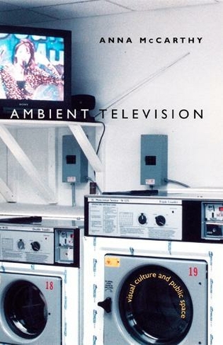 Ambient Television: Visual Culture and Public Space (Console-ing Passions)