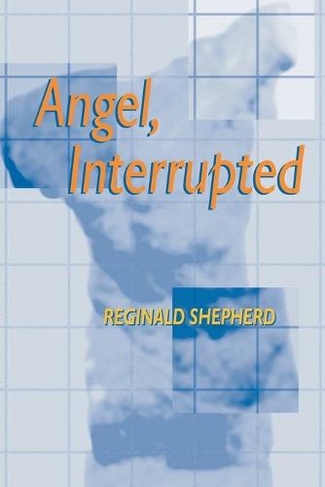 Angel Interrupted: (Pitt Poetry Series)