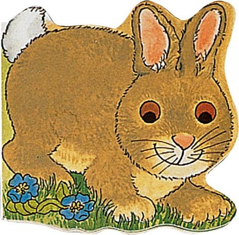 Pocket Bunny: (Pocket Pals)
