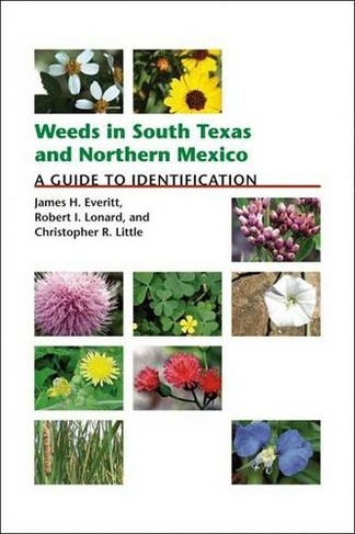 Weeds in South Texas and Northern Mexico: A Guide to Identification