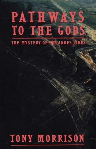 Pathways to the Gods: The Mystery of the Andes Lines (Open market ed)