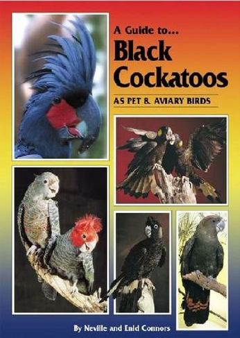 Guide to Black Cockatoos as Pet and Aviary Birds