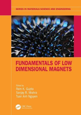Fundamentals of Low Dimensional Magnets: (Series in Materials Science and Engineering)