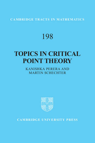 Topics in Critical Point Theory: (Cambridge Tracts in Mathematics)