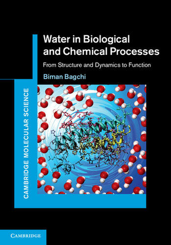 Water in Biological and Chemical Processes: From Structure and Dynamics to Function (Cambridge Molecular Science)