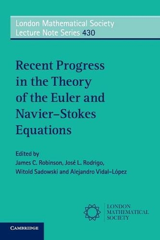 Recent Progress in the Theory of the Euler and Navier-Stokes Equations: (London Mathematical Society Lecture Note Series)