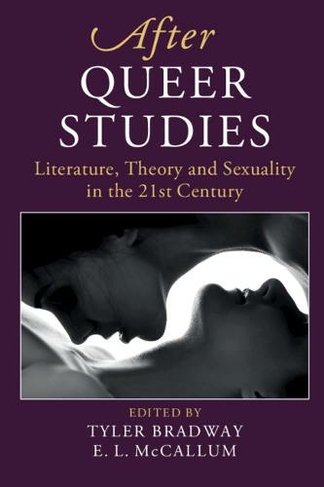 After Queer Studies: Literature, Theory and Sexuality in the 21st Century (After Series)
